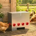 Mangeoire à poulets en acier 25 kg avec bac de stockage – 3