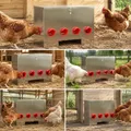 Mangeoire à poulets en acier 25 kg avec bac de stockage – 5