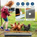 Mangeoire à poulets en acier galvanisé 5 gallons avec drainage – 4