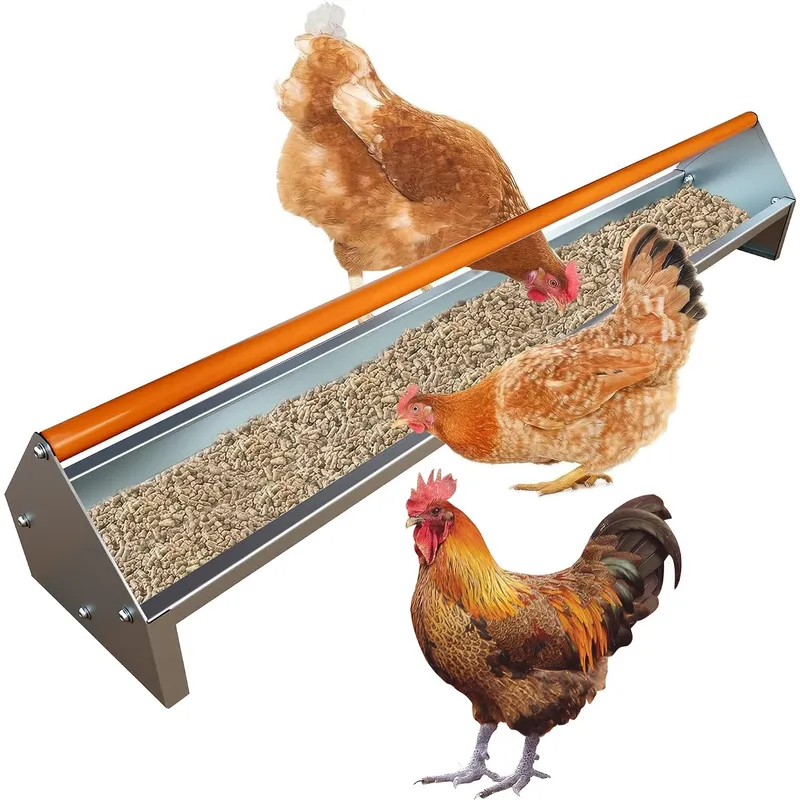 Mangeoire à poulets en acier galvanisé 5 gallons avec drainage