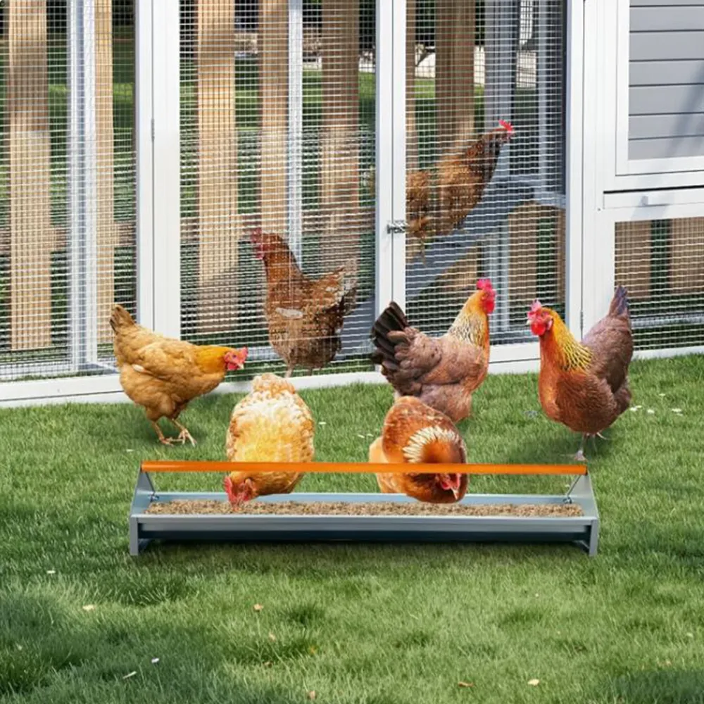 Mangeoire à poulets en acier galvanisé 5 gallons avec drainage