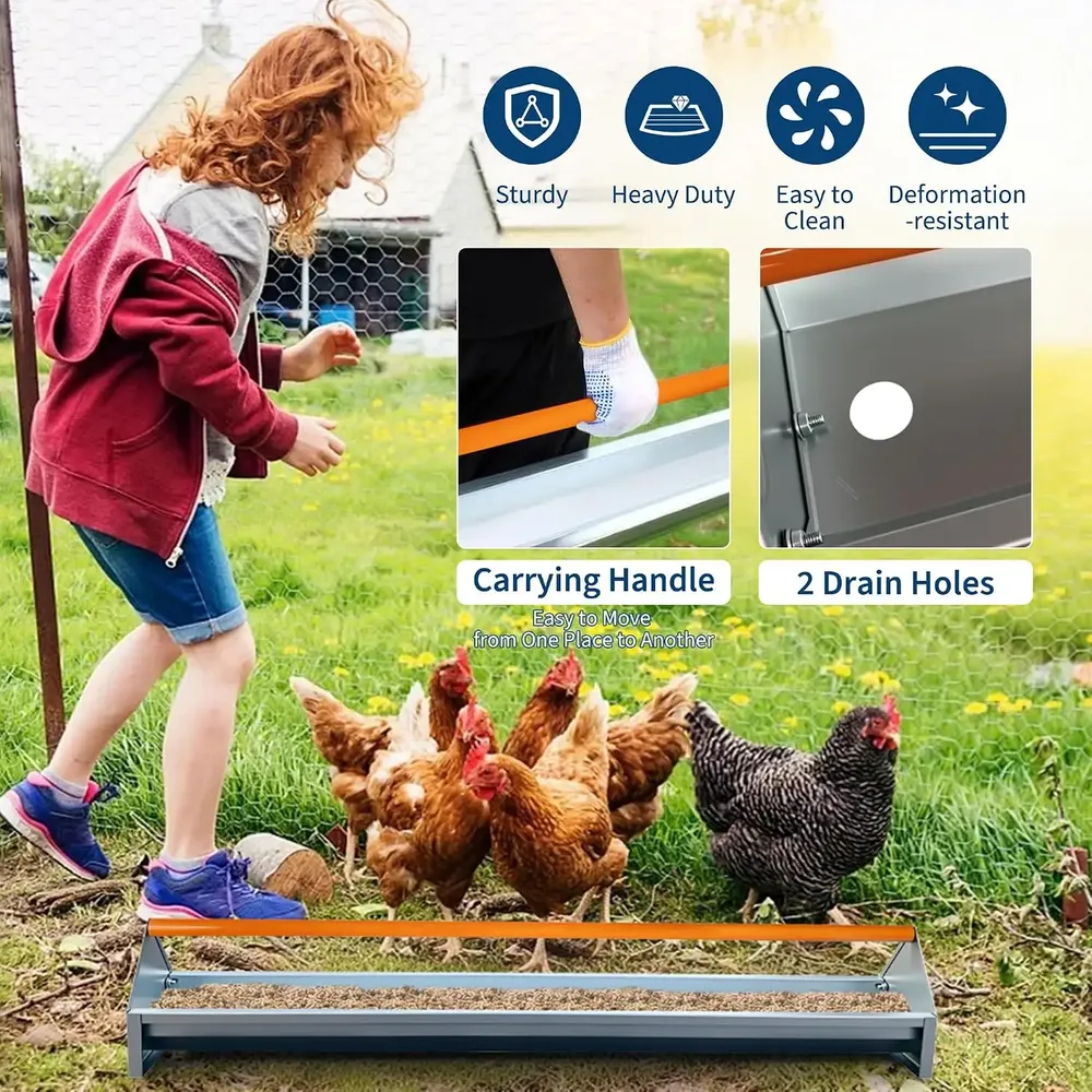 Mangeoire à poulets en acier galvanisé 5 gallons avec drainage
