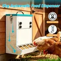 Mangeoire à poulets en métal anti-perte 4 orifices – 3