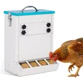 Mangeoire à poulets en métal anti-perte 4 orifices – 6