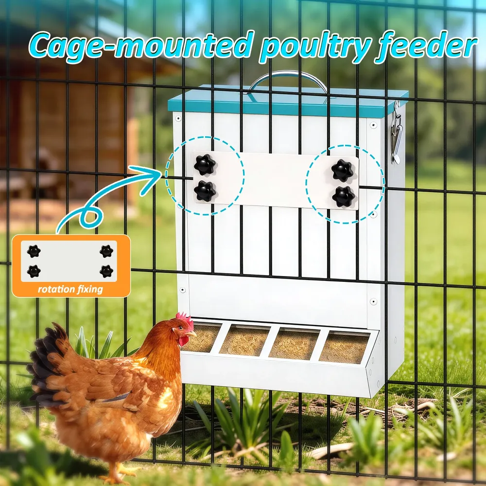 Mangeoire à poulets en métal anti-perte 4 orifices