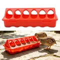 Mangeoire anti-déversement multi-trous pour cailles et poulets – 1
