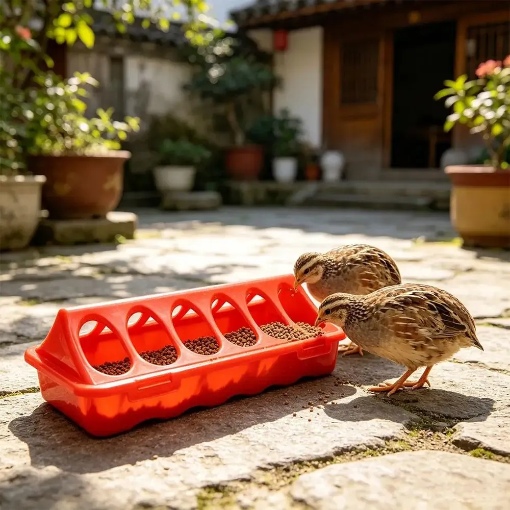 Mangeoire anti-déversement multi-trous pour cailles et poulets
