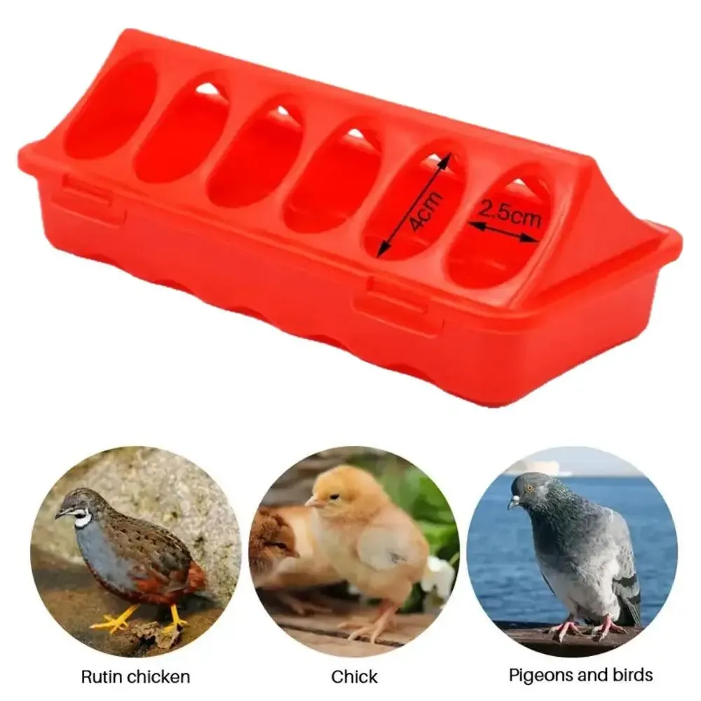 Mangeoire anti-déversement multi-trous pour cailles et poulets