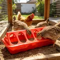 Mangeoire anti-gaspillage à 12 trous pour volailles et pigeons – 1
