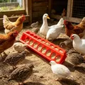 Mangeoire anti-gaspillage et abreuvoir pour volailles – 5