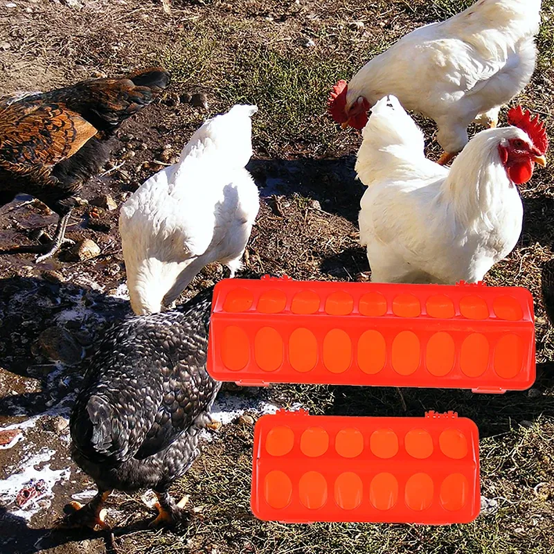 Mangeoire au sol en plastique à clapet 12 ou 18 trous
