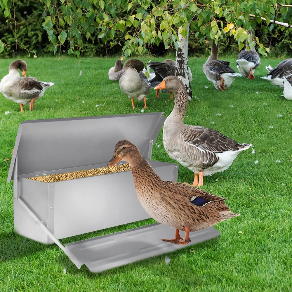 Mangeoire automatique à pédale 5 kg ou 10 kg étanche
