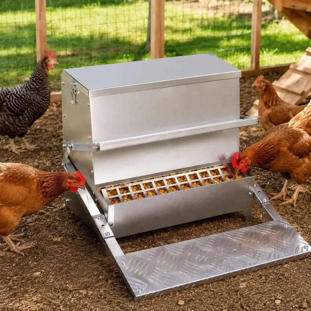 Mangeoire automatique à pédale en acier galvanisé sans gaspillage
