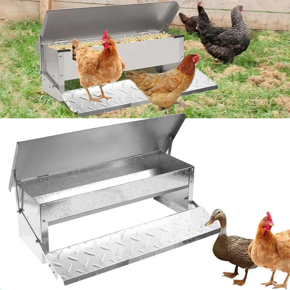 Mangeoire automatique à pédale galvanisée avec couvercle inox