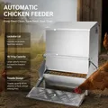 Mangeoire automatique pour volaille 18,14 kg avec couvercle – 4