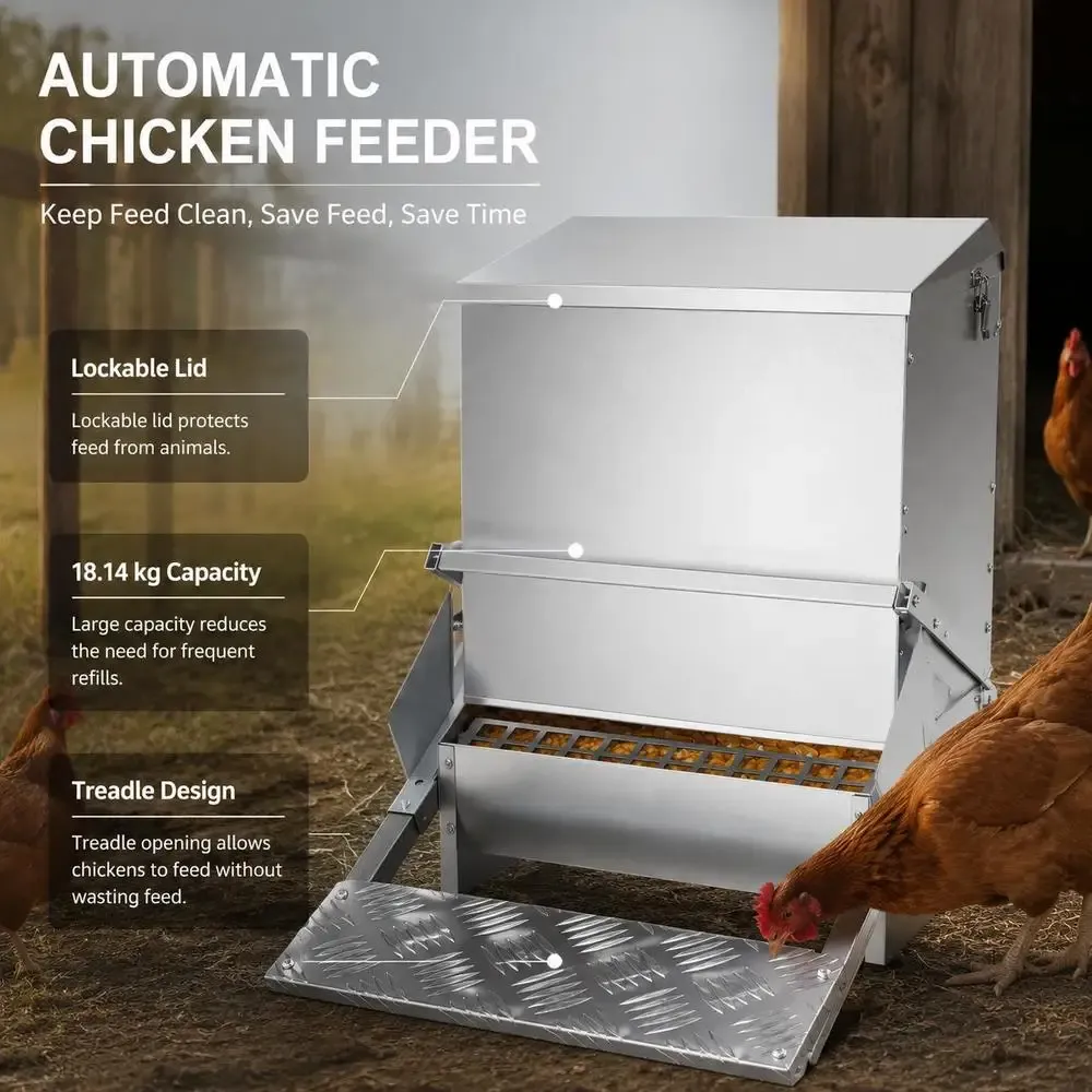 Mangeoire automatique pour volaille 18,14 kg avec couvercle