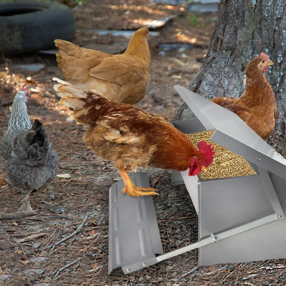 Mangeoire automatique pour volaille 5 kg à pédale