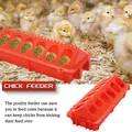Mangeoire et abreuvoir automatique pour poussins – 3