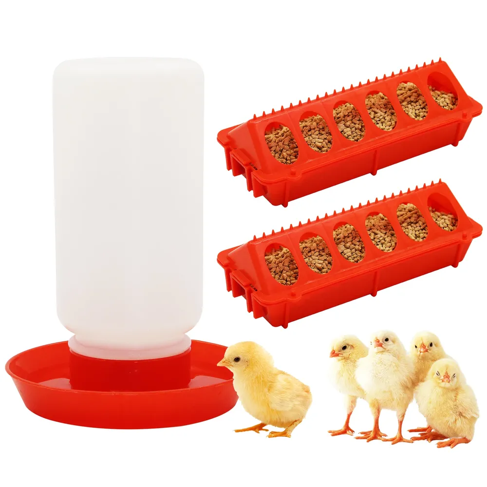 Mangeoire et abreuvoir automatique pour poussins