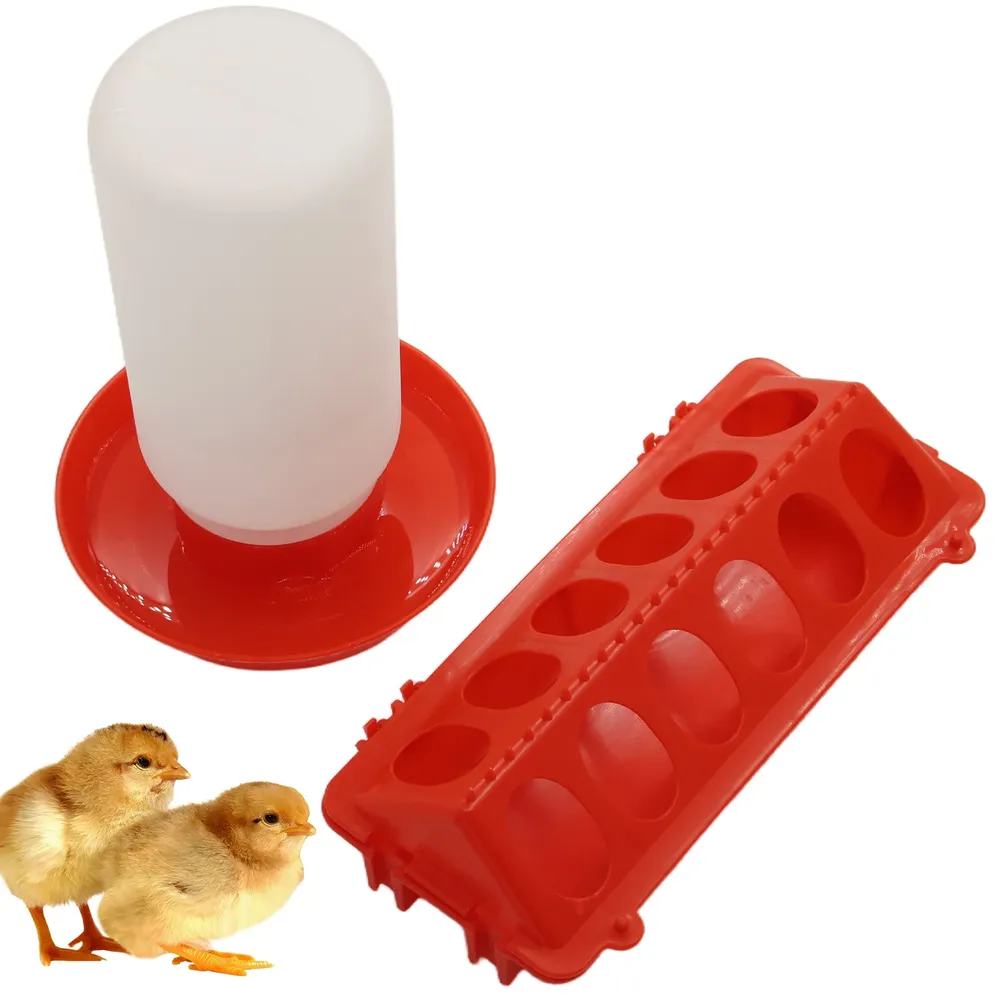 Mangeoire et abreuvoir automatique pour poussins