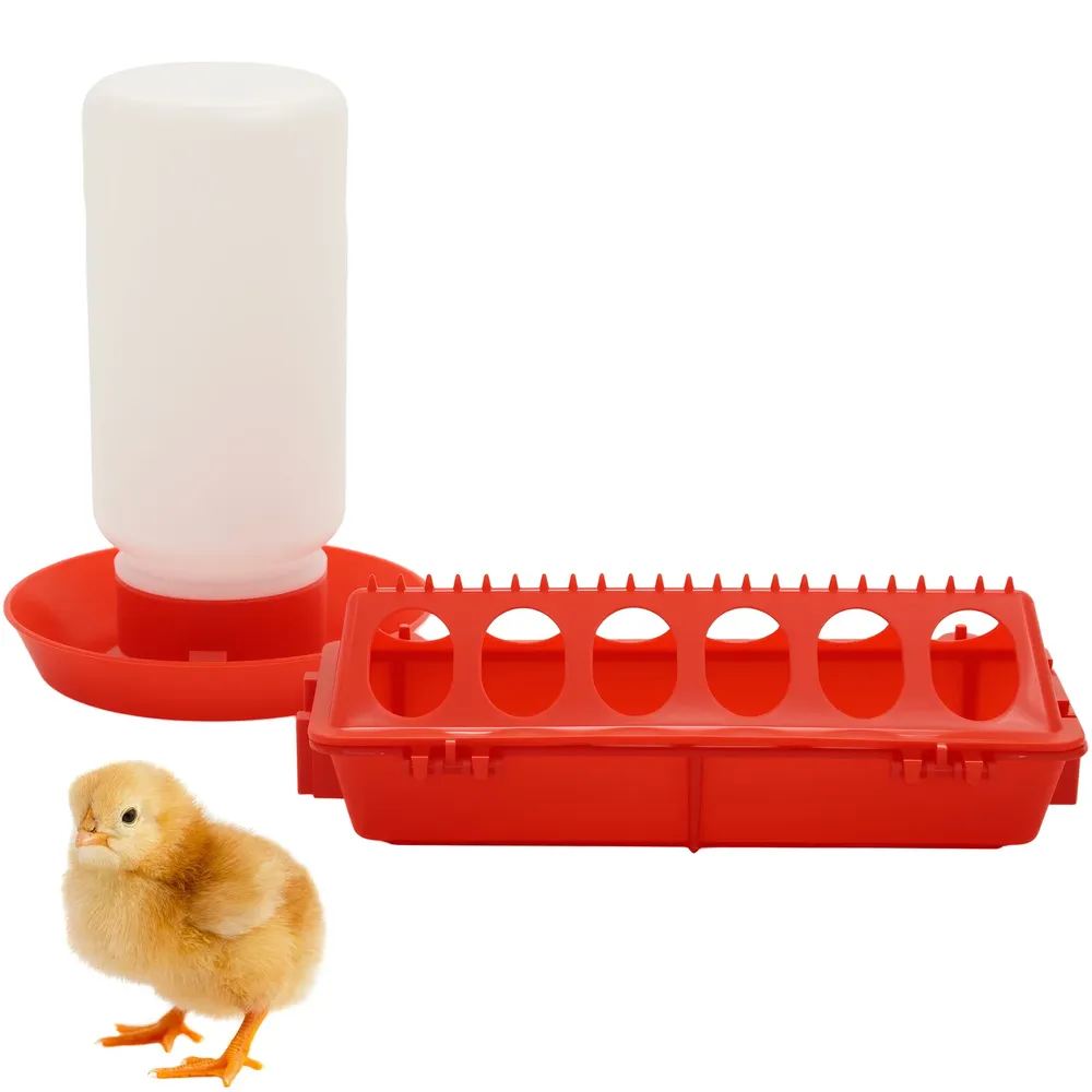 Mangeoire et abreuvoir automatique pour poussins