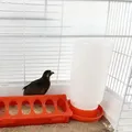 Mangeoire et abreuvoir automatique pour poussins et cailles – 1