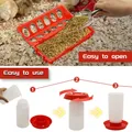 Mangeoire et abreuvoir automatique pour poussins et cailles – 5