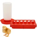 Mangeoire et abreuvoir automatique pour poussins et cailles – 6