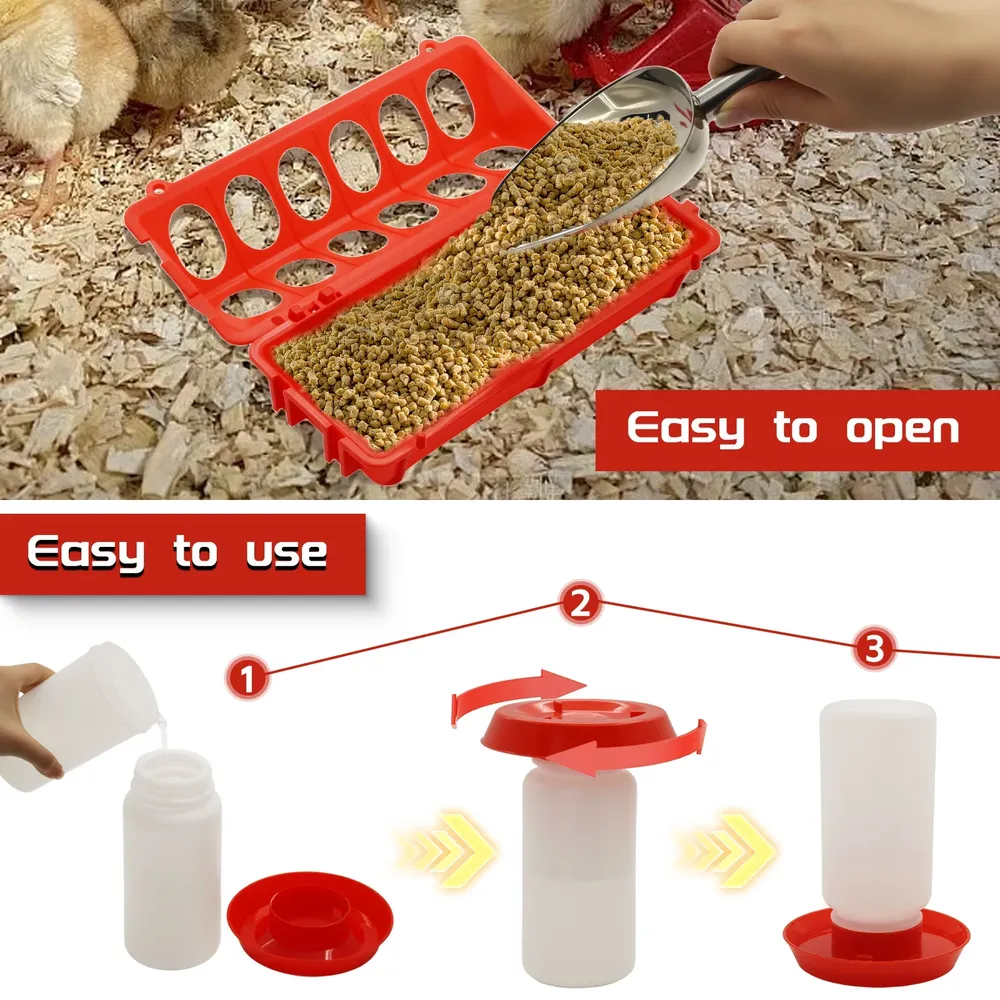 Mangeoire et abreuvoir automatique pour poussins et cailles