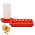 Mangeoire et abreuvoir automatique pour poussins et cailles – Couleur noir (2)