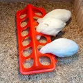 Mangeoire et abreuvoir automatique pour volaille – 3