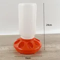 Mangeoire et abreuvoir automatique pour volaille – Couleur prune (A7)