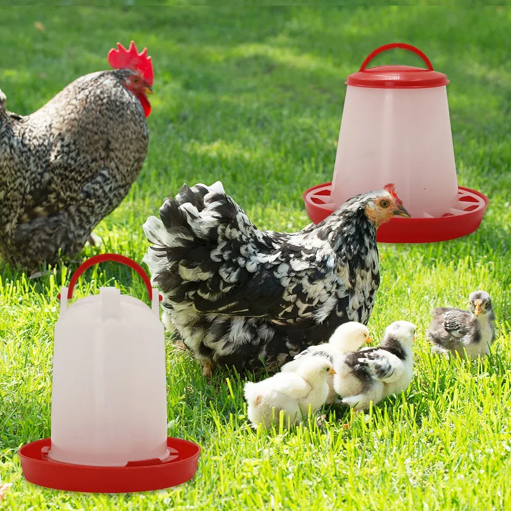 Mangeoire et abreuvoir automatiques pour volailles 3 kg et 3 L