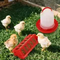 Mangeoire et abreuvoir pour poussins suspendu – 1