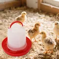 Mangeoire et abreuvoir pour poussins suspendu – 5