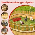 Mangeoire et abreuvoir pour poussins suspendu – 6