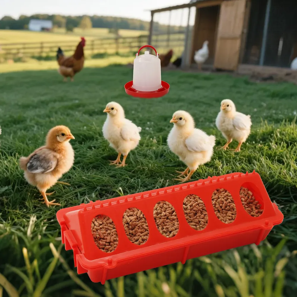Mangeoire et abreuvoir pour poussins suspendu