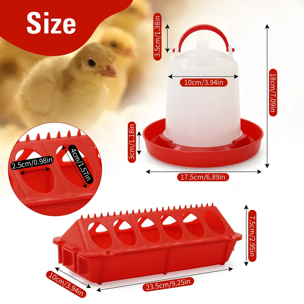 Mangeoire et abreuvoir pour poussins suspendu