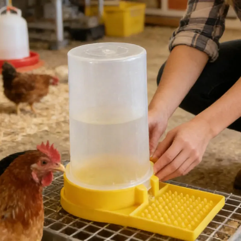 Mangeoire et abreuvoir pour volaille anti-fuite