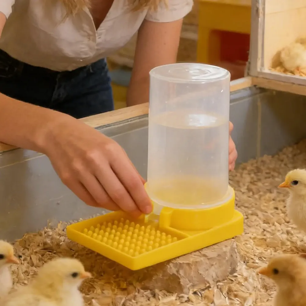 Mangeoire et abreuvoir pour volaille anti-fuite