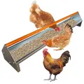 Mangeoire poulet galvanisée métal avec drainage – 2