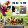 Mangeoire poulet galvanisée métal avec drainage – 3