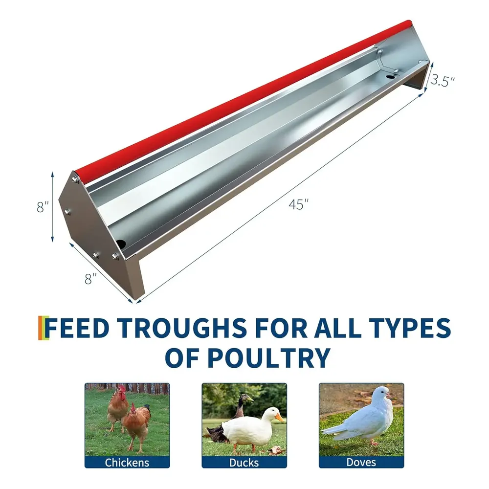 Mangeoire poulet galvanisée métal avec drainage