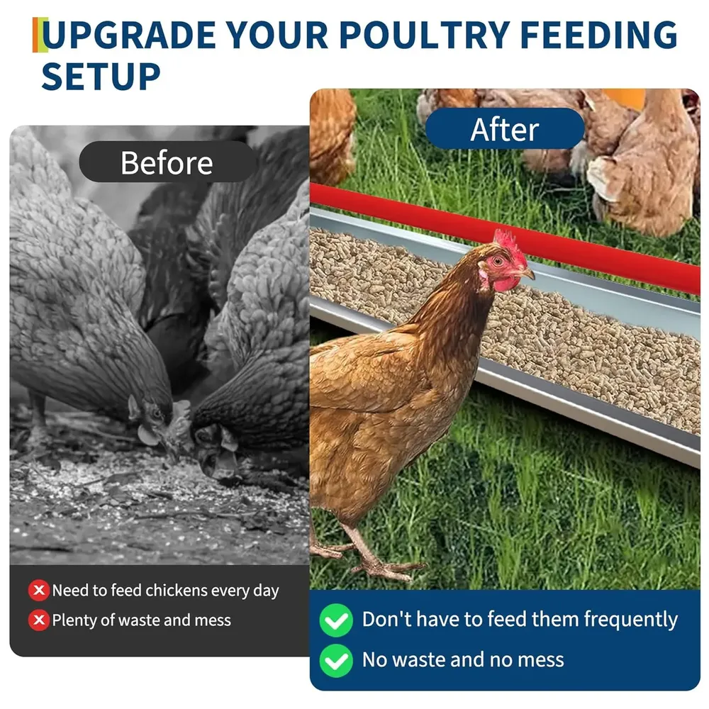 Mangeoire poulet galvanisée métal avec drainage
