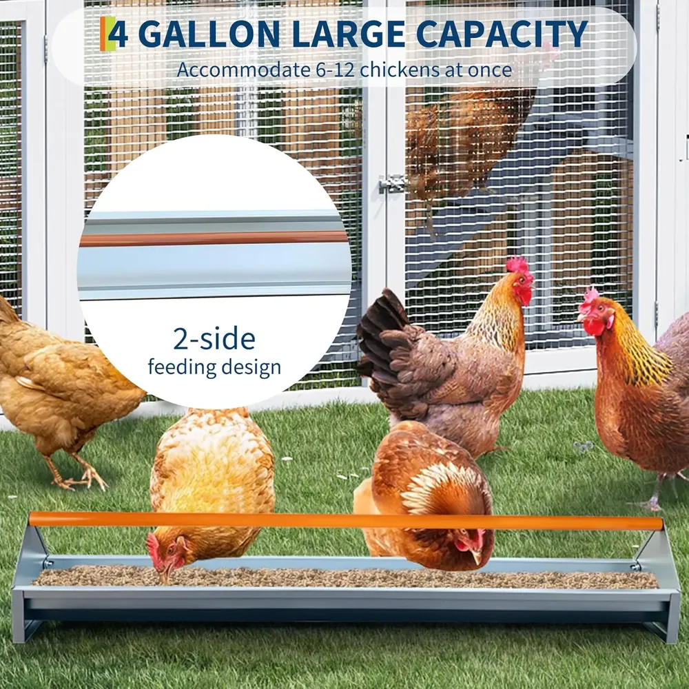 Mangeoire poulet galvanisée métal avec drainage