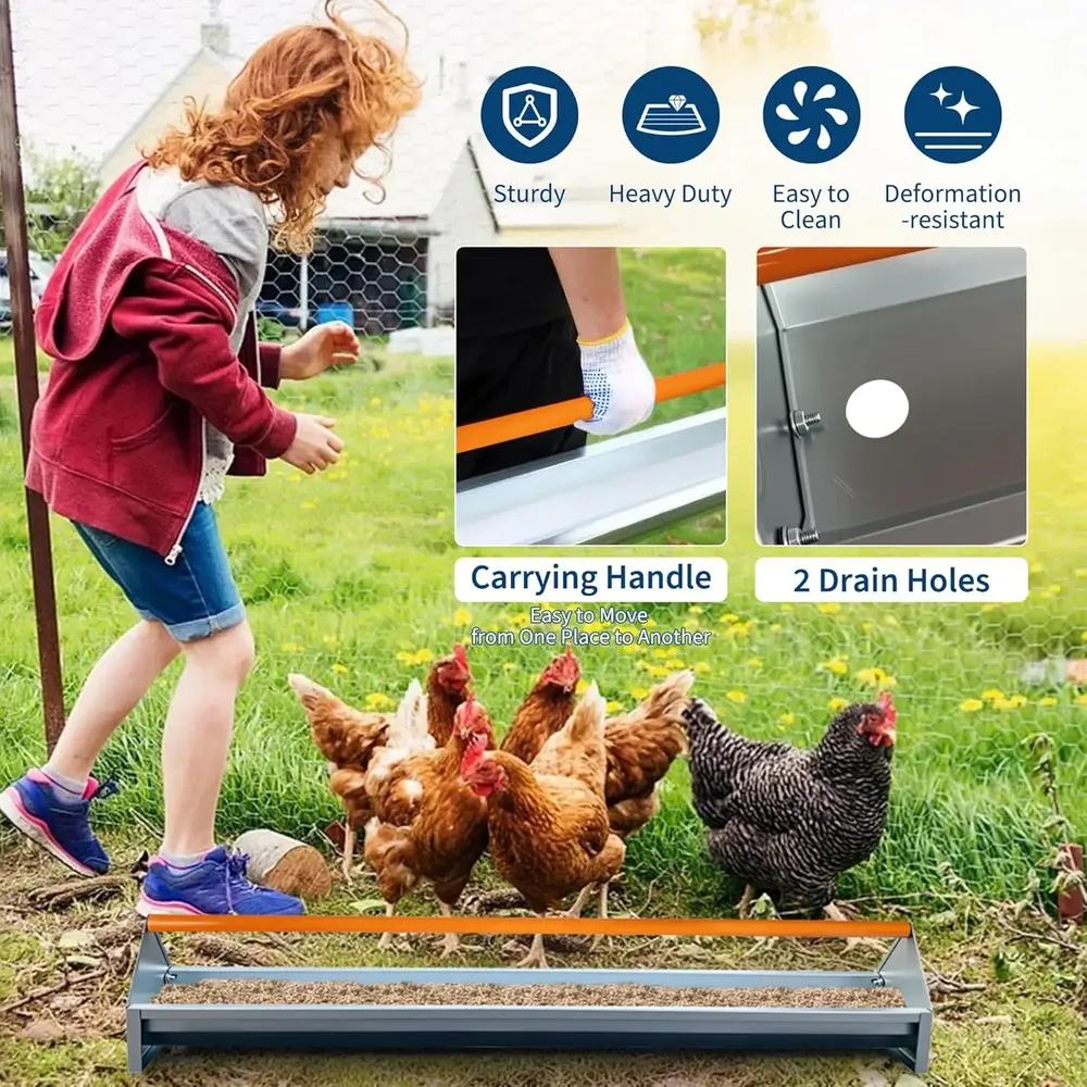 Mangeoire poulet galvanisée métal avec drainage