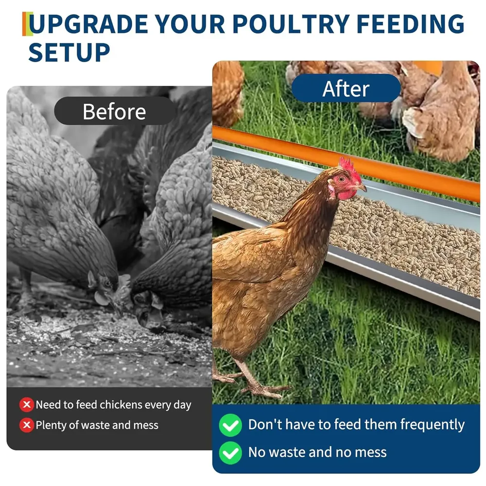 Mangeoire poulet galvanisée métal avec drainage