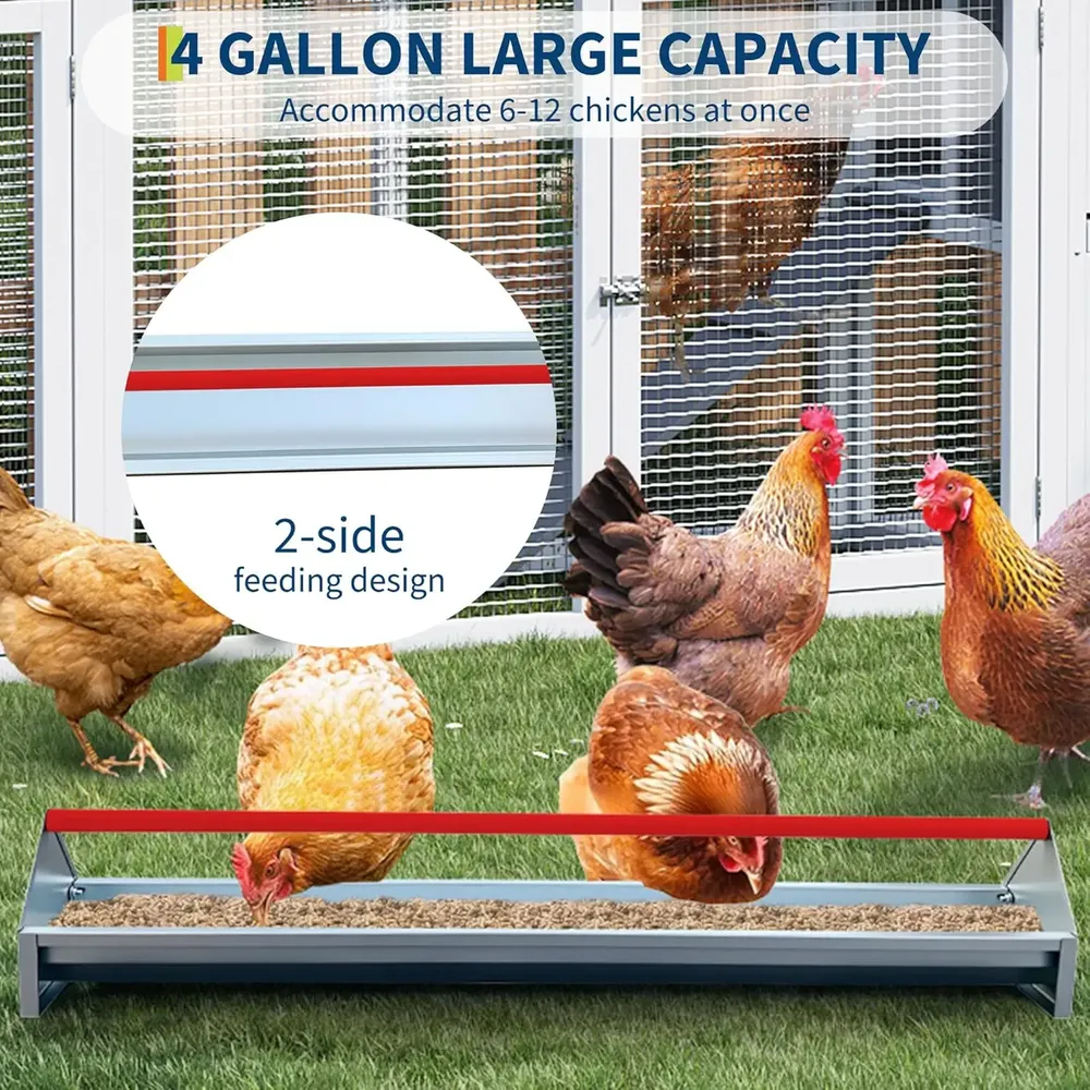 Mangeoire poulet galvanisée métal avec drainage