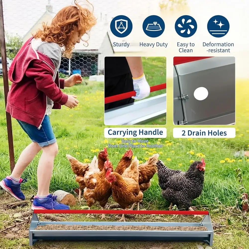 Mangeoire poulet galvanisée métal avec drainage