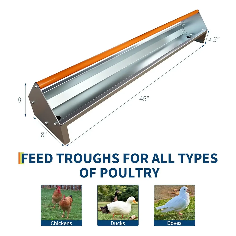 Mangeoire poulet galvanisée métal avec drainage